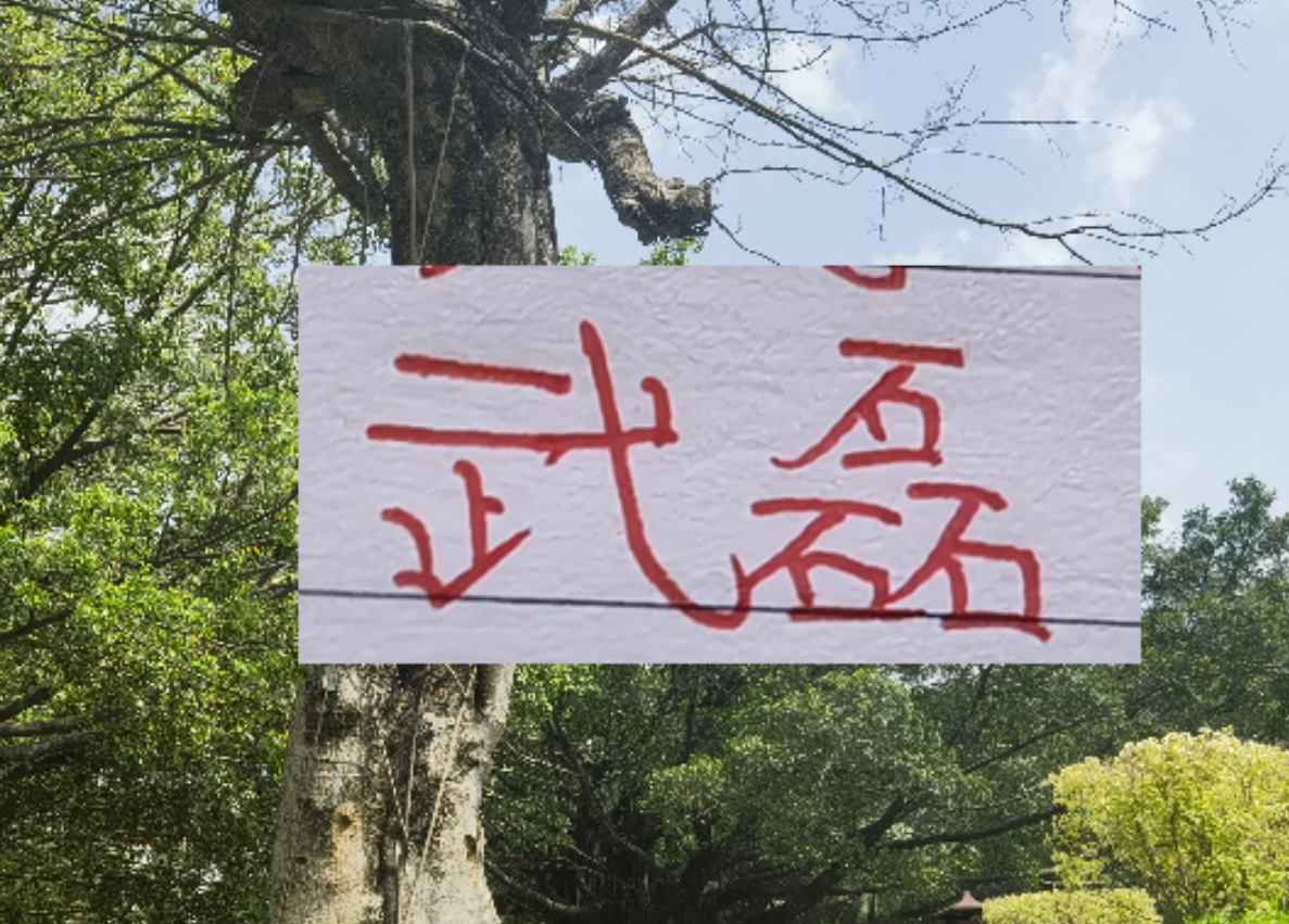 世界杯官方平台-2月海港就要打亚冠比赛 大概率武磊+莱昂纳多 这些一哥上不了